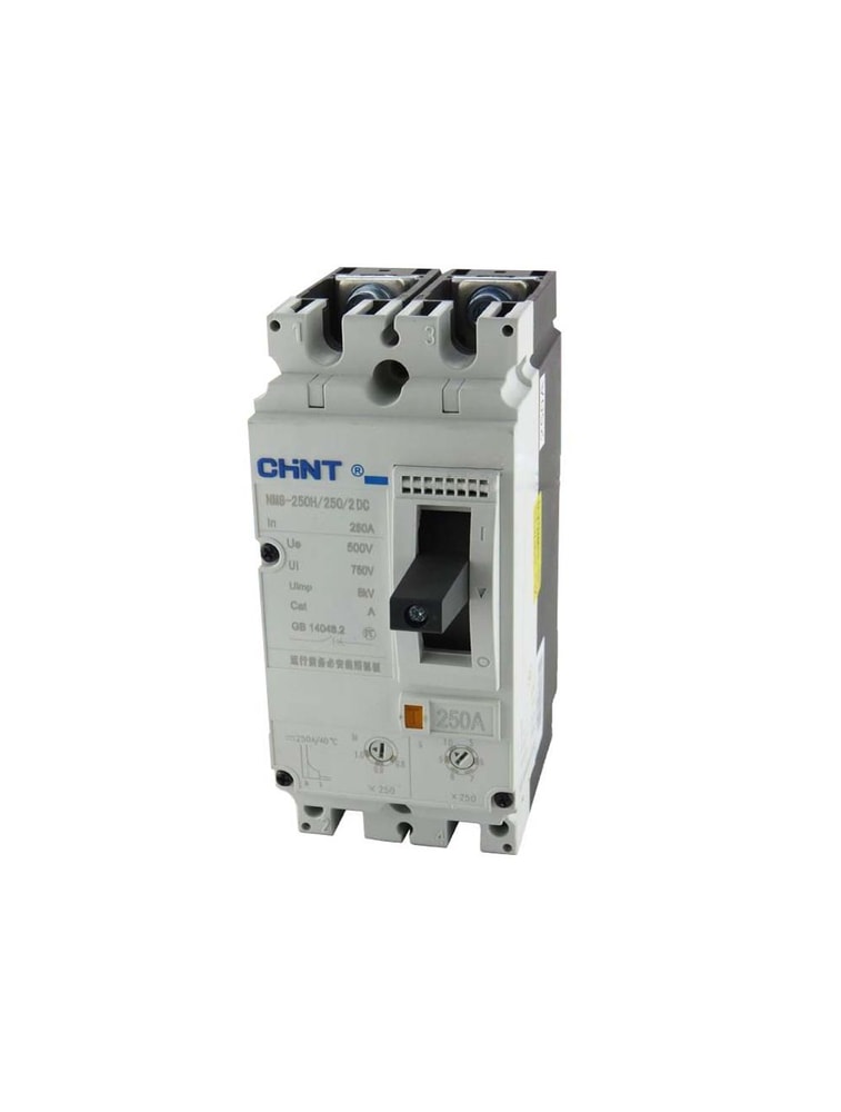 Chint Disyuntor NM8-250H/250/2DC