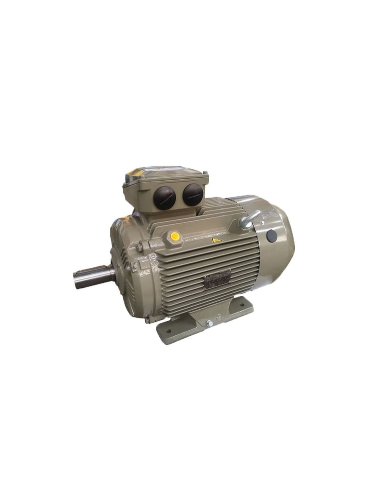 GE Motor Eléctrico WE3-80M2-4