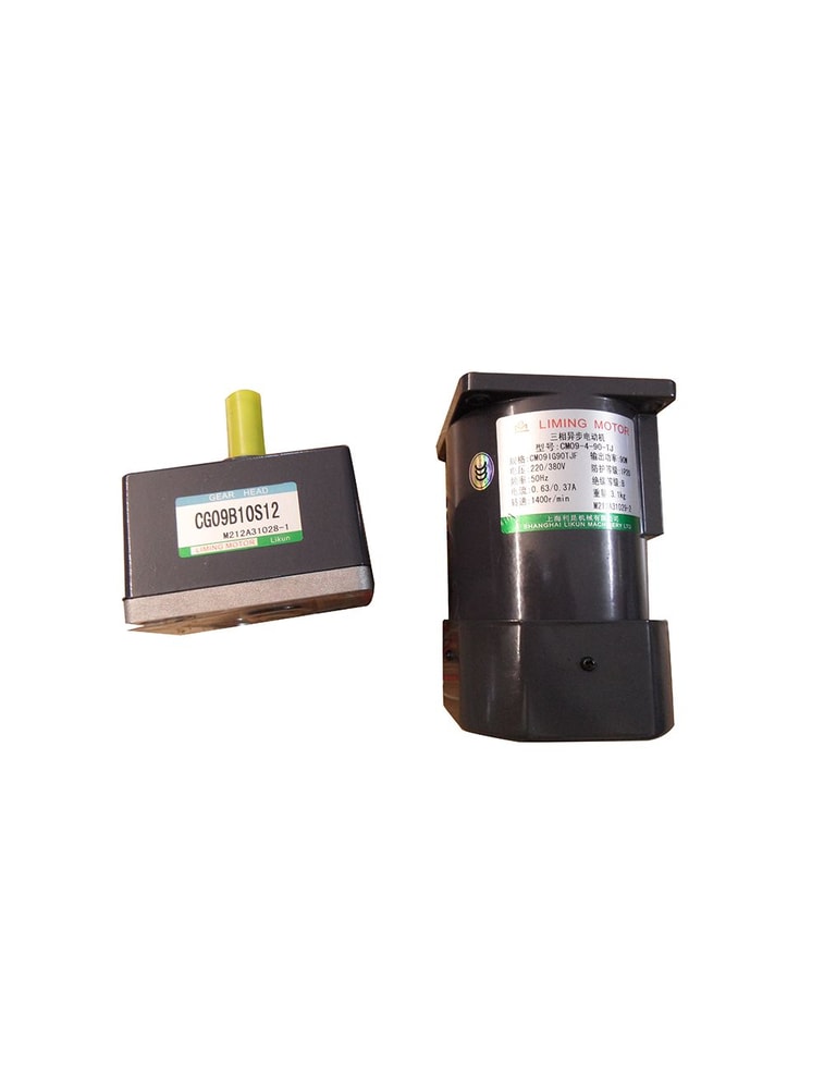 LIMING Motor Eléctrico CM09-4-90-TJ