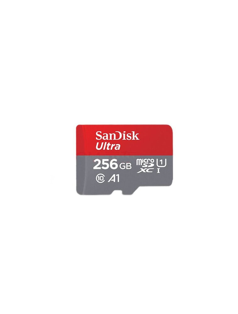 SanDisk Micro SD Card SDSQUNI-256G-ZN3MN