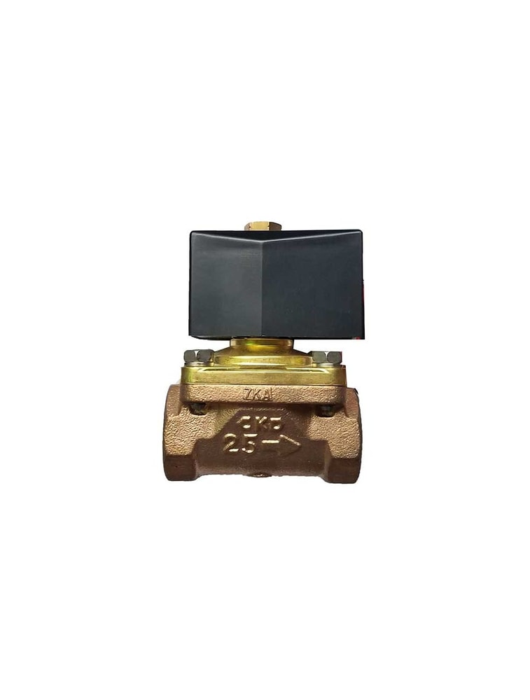 CKD Válvula solenoide AB71-25-18-B2E-AC200V