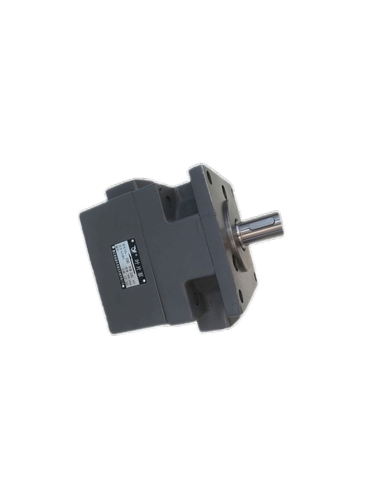 HONGYI Bomba de paletas YBD-10