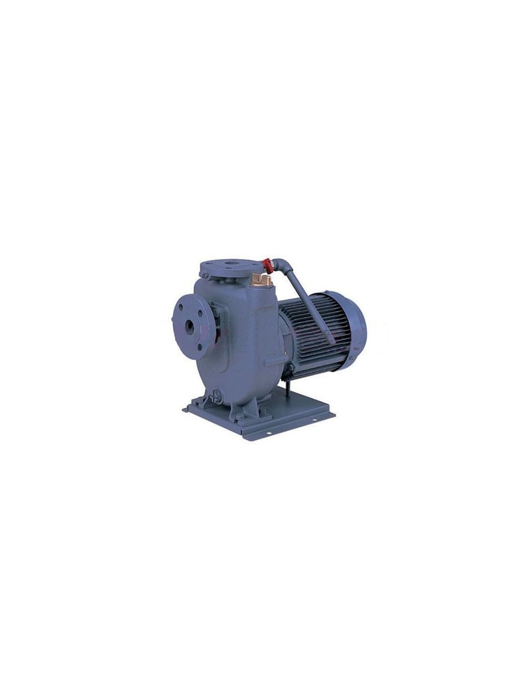 EBARA Water Pump 32FQD5.75A
